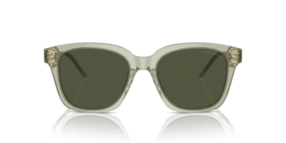 Transparent Green - 0AR8210U 8056262045619