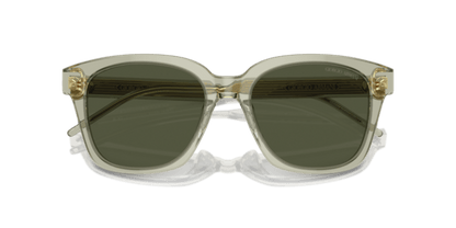 Transparent Green - 0AR8210U 8056262045619