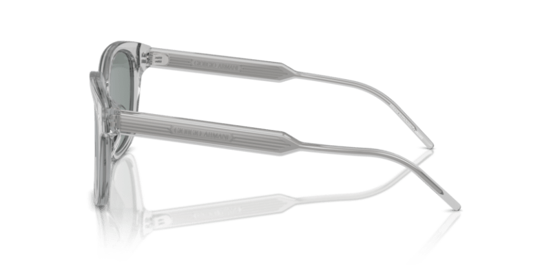 Transparent Grey - 0AR8210U 8056262045589