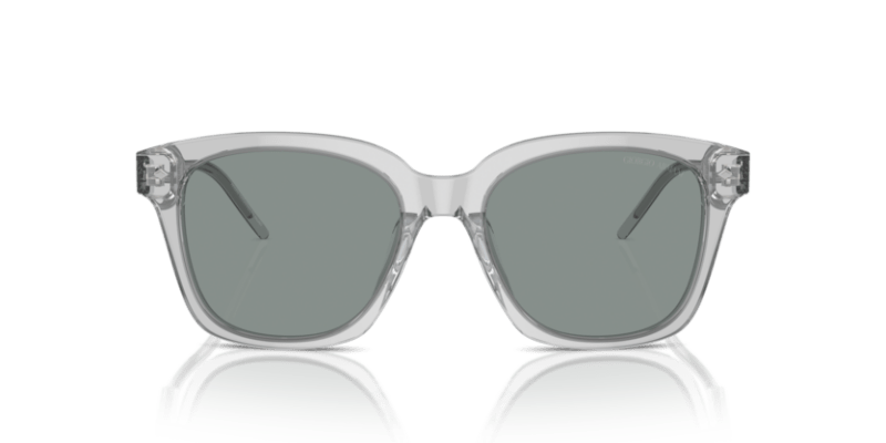 Transparent Grey - 0AR8210U 8056262045589