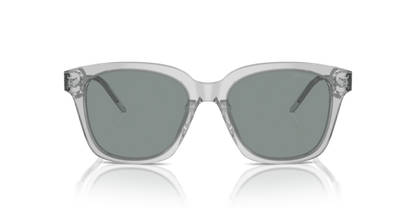 Transparent Grey - 0AR8210U 8056262045589