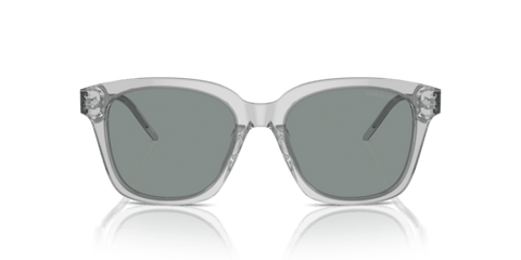 Transparent Grey - 0AR8210U 8056262045589