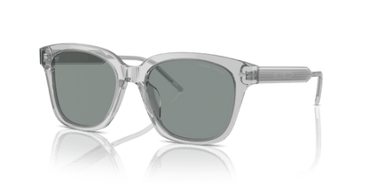 Transparent Grey - 0AR8210U 8056262045589