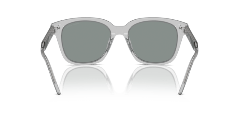 Transparent Grey - 0AR8210U 8056262045589