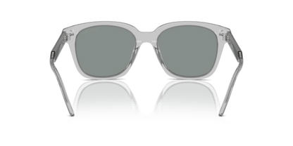 Transparent Grey - 0AR8210U 8056262045589