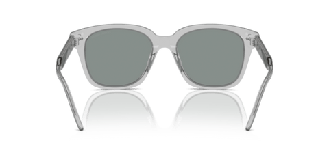 Transparent Grey - 0AR8210U 8056262045589