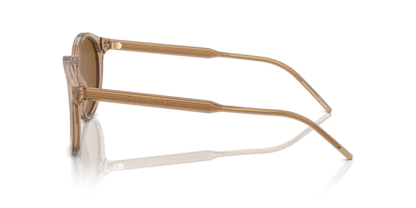 Transparent Brown - 0AR8211 8056262045541