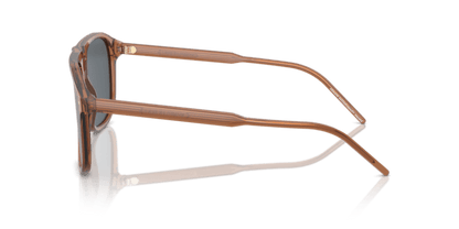 Transparent Brown - 0AR8212 8056262039250