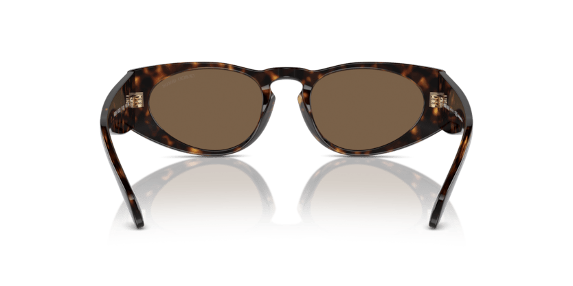 0AR8216 - Giorgio Armani - (Havana) Dark Brown - 51 - 20 - 145 MM - Ardor Eyewear 8056262061961