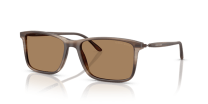 Matte Striped Brown - 0AR8218 8056262221815