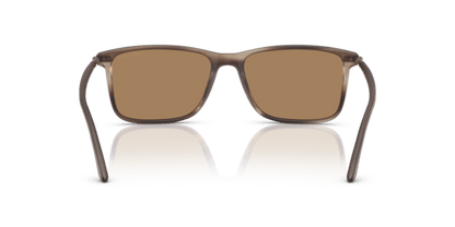 Matte Striped Brown - 0AR8218 8056262221815