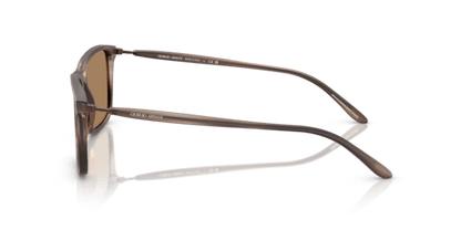 Matte Striped Brown - 0AR8218 8056262221815