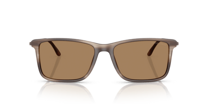 Matte Striped Brown - 0AR8218 8056262221815