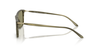 Matte Striped Green - 0AR8218 8056262221822