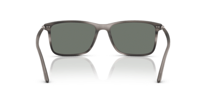 Matte Striped Grey - 0AR8218 8056262221808