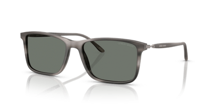 Matte Striped Grey - 0AR8218 8056262221808