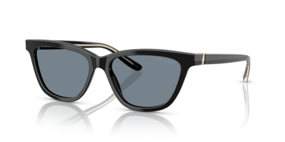 Black - 0AR8221 8056262222850