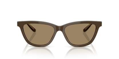 Brown - 0AR8221 8056262222874