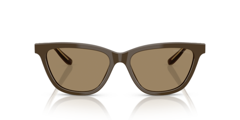 Brown - 0AR8221 8056262222874