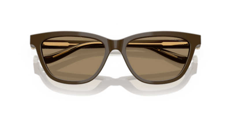 Brown - 0AR8221 8056262222874