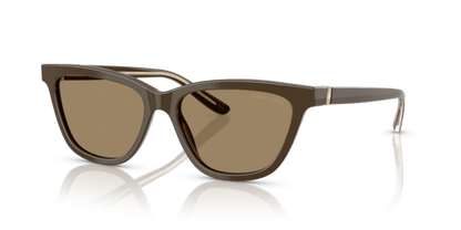 Brown - 0AR8221 8056262222874