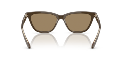 Brown - 0AR8221 8056262222874