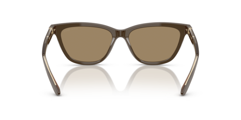 Brown - 0AR8221 8056262222874