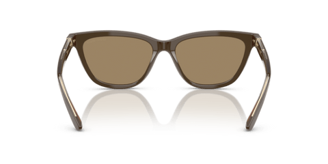 Brown - 0AR8221 8056262222874