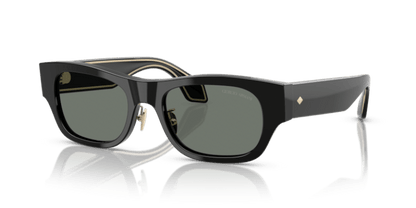 Black - 0AR8224 8056262232200