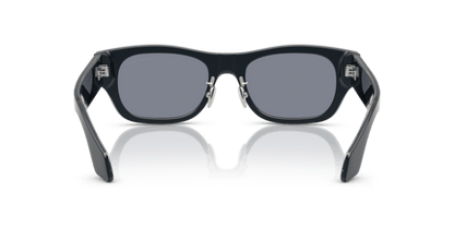 Blue Icon - 0AR8224 8056262232224