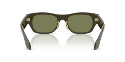 Green Icon - 0AR8224 8056262232231