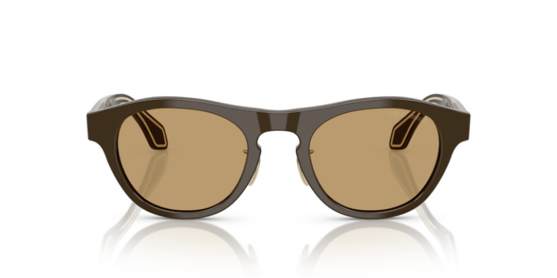 Solid Dark Brown - 0AR8225 8056262241363