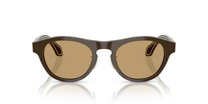 Solid Dark Brown - 0AR8225 8056262241363