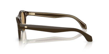 Solid Dark Brown - 0AR8225 8056262241363