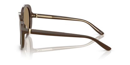 Brown - 0AR8229U 8056262316702