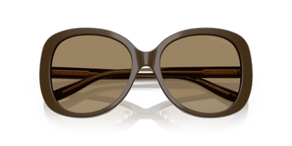 Brown - 0AR8229U 8056262316702