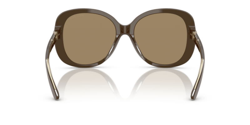 Brown - 0AR8229U 8056262316702