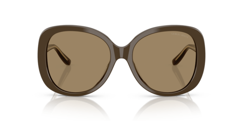 Brown - 0AR8229U 8056262316702