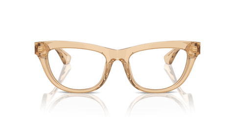 Brown - 0BE2406U 8056262080818
