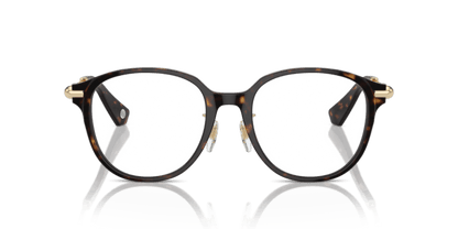 Dark Havana - 0BE2412D 8056262086452