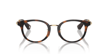 Dark Havana - 0BE2413D 8056262087411