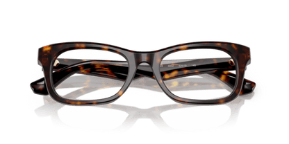 Dark Havana - 0BE2422 8056262220023