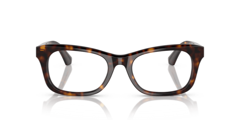 Dark Havana - 0BE2422 8056262220023