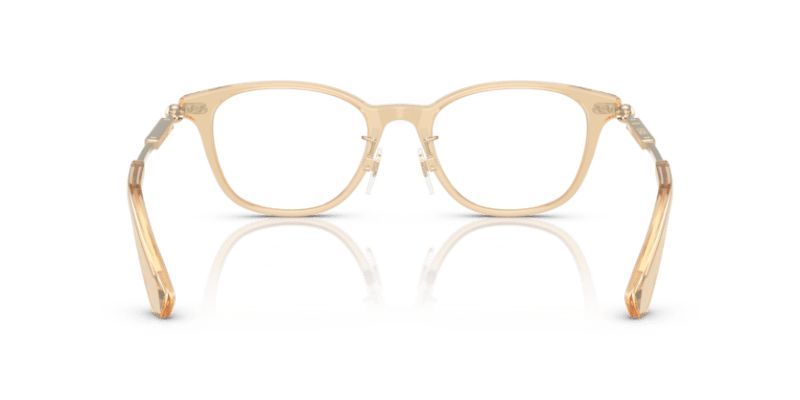 Brown - 0BE2423D 8056262284124