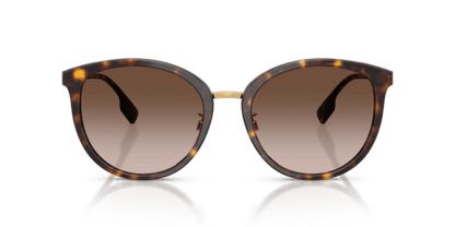 Dark Havana - 0BE4289D 8053672795172  Sunglasses Man