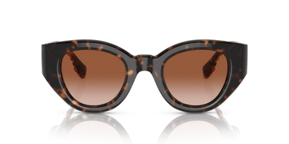 Dark Havana - 0BE4390 8056597831666