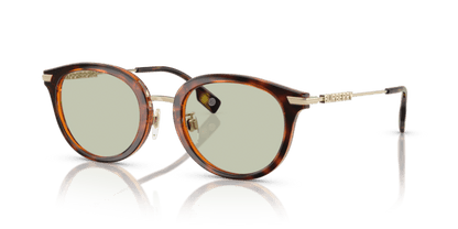 Dark Havana (3002/2) - Light Green 8056262268261