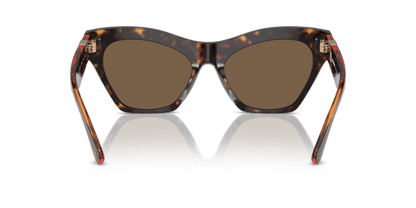 Dark Havana - 0BE4420U 8056262081945