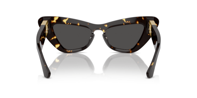 Dark Havana - 0BE4421U 8056262042489