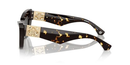 Dark Havana - 0BE4421U 8056262042489